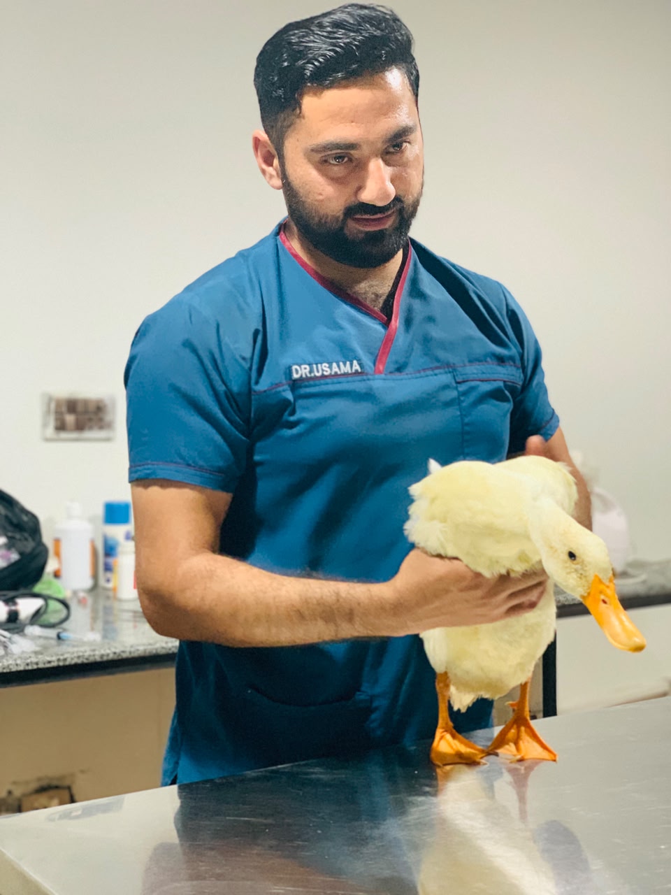Modern veterinary exam room Rawalpindi