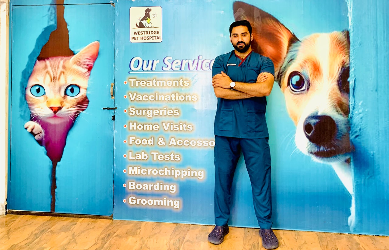 Mobile vet home visit service