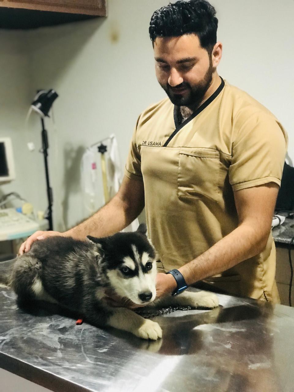 Mobile Vet and Home Visit Service