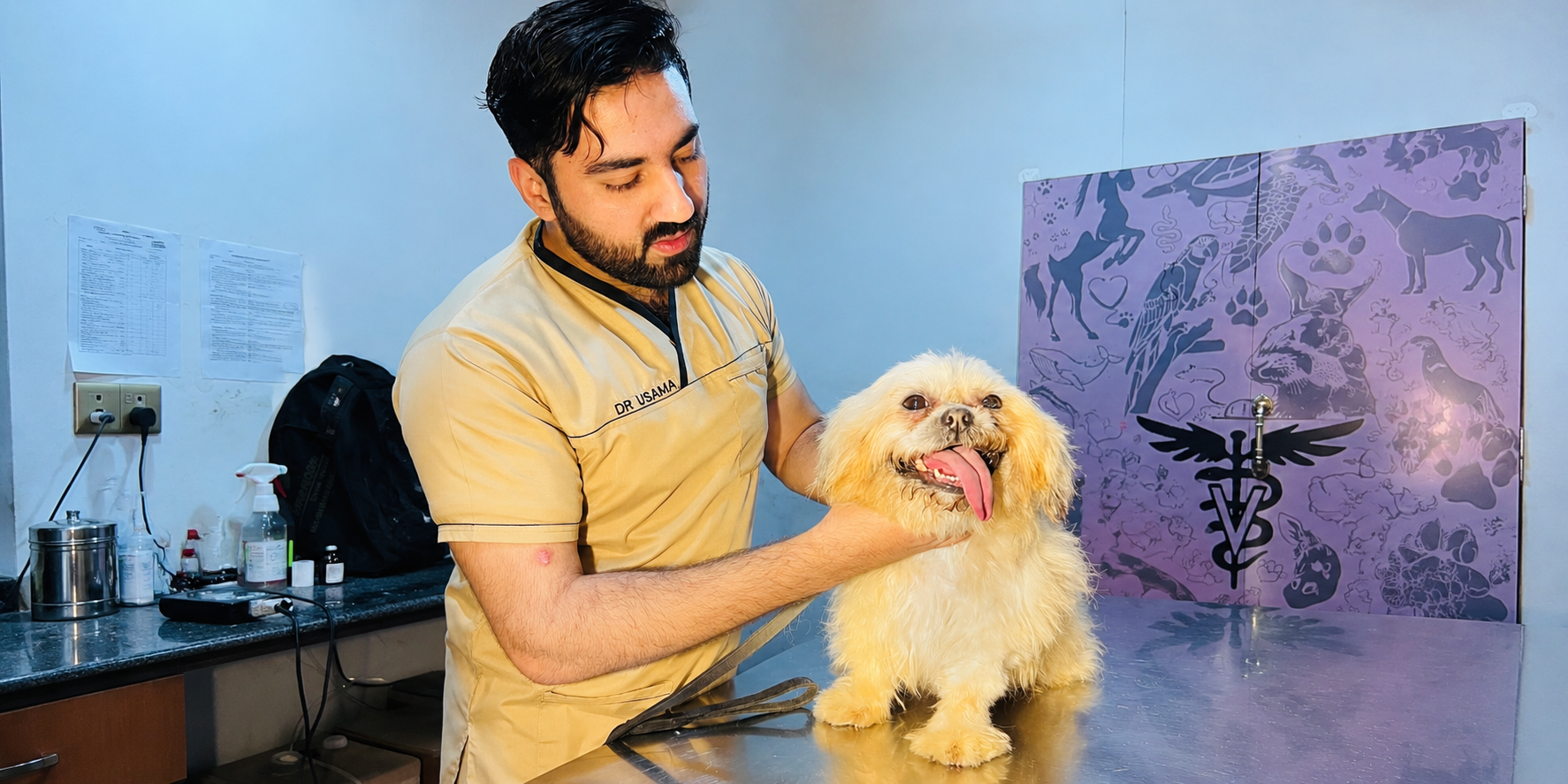 Pet boarding Rawalpindi cats dogs