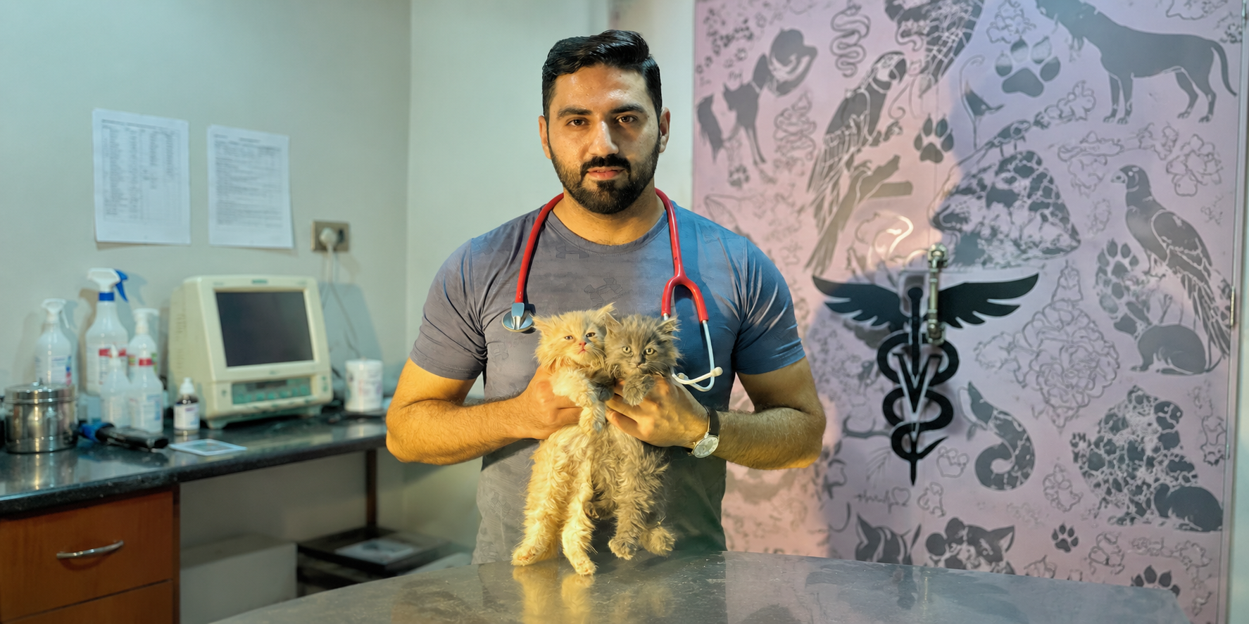 Excellence in veterinary medicine