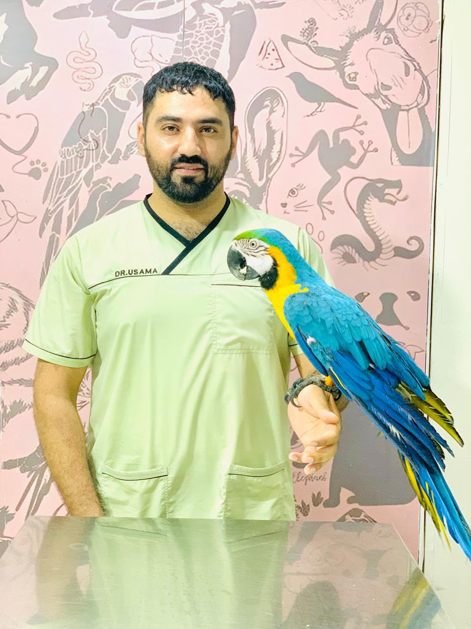 Happy parrot patient Rawalpindi
