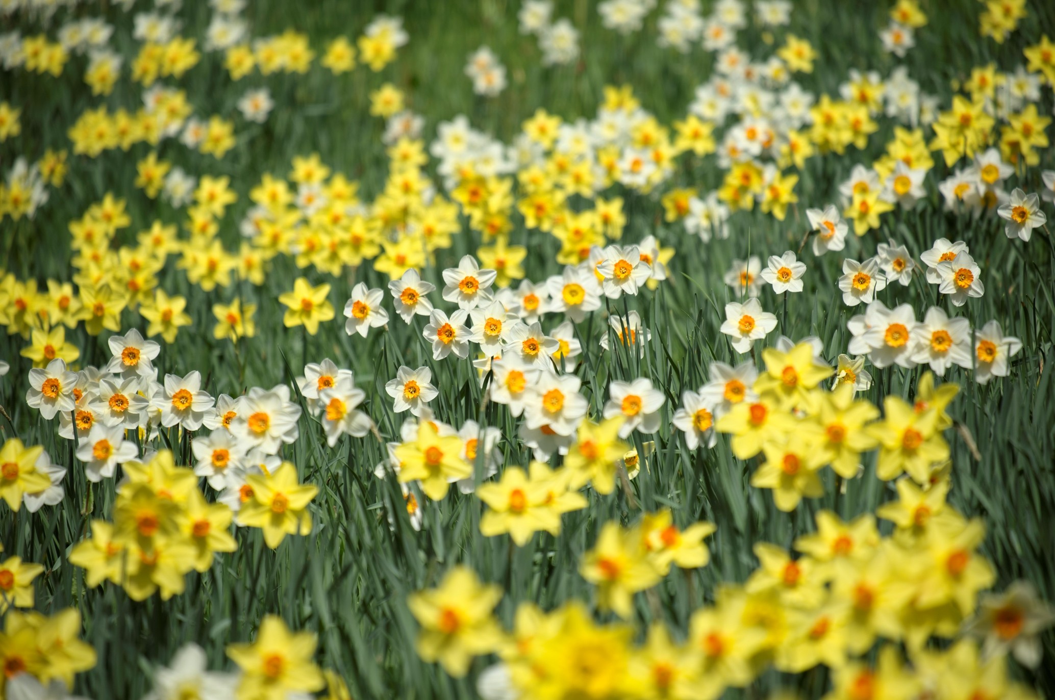 May