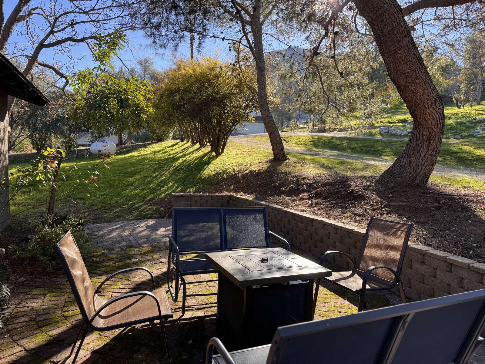 Backyard patio with a fire table under oak and pine trees in golden light
