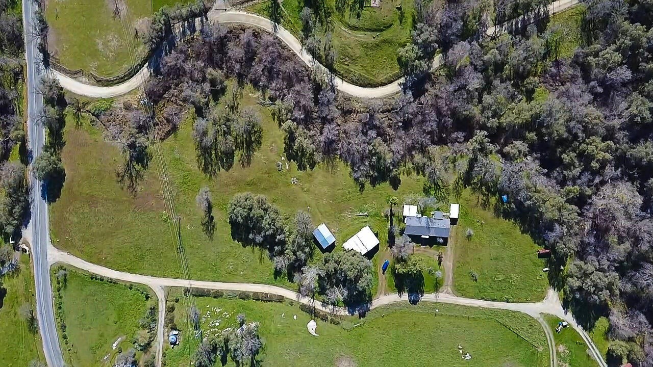 Aerial view of a winding dirt drive through foothill pasture and oak trees