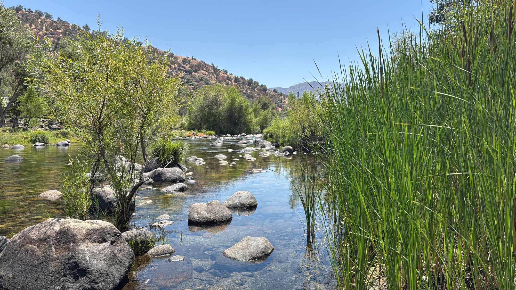 The Kaweah River with cattails and foothills in Three Rivers, California