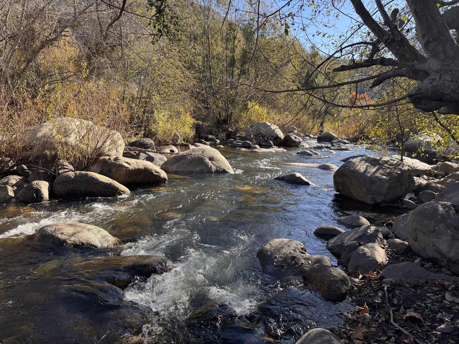 Creek rapids flowing over boulders in the Sierra foothills