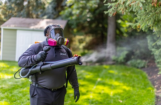 proof. technician spraying trees and yard for mosquitoes 