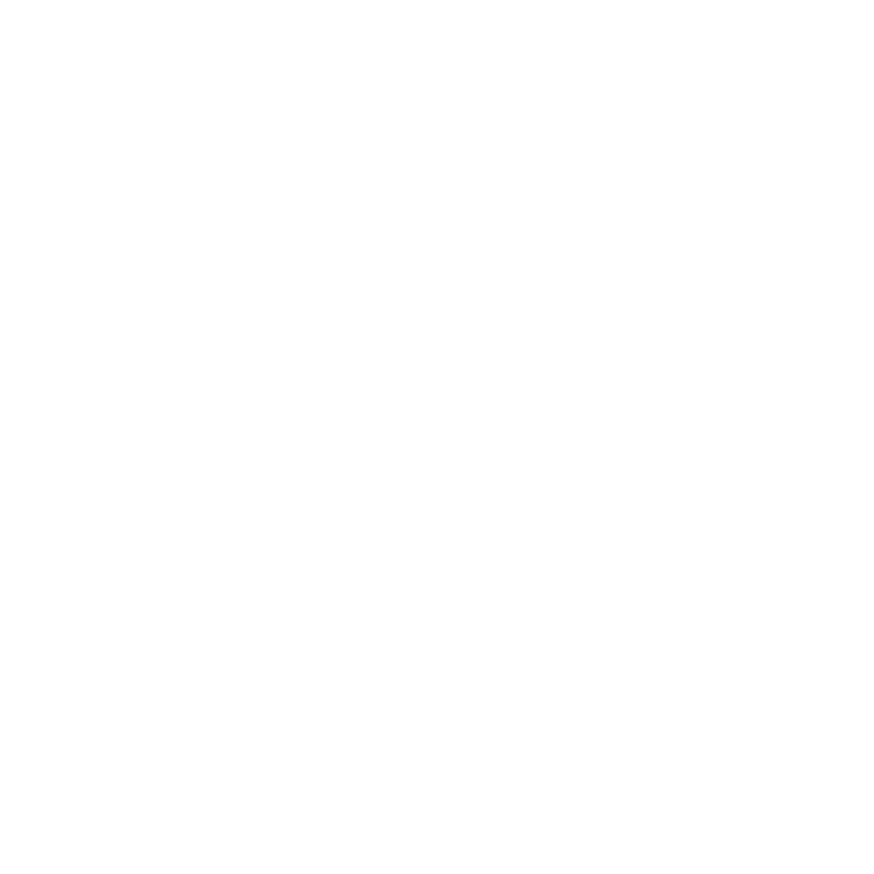 TOP CLINIK®