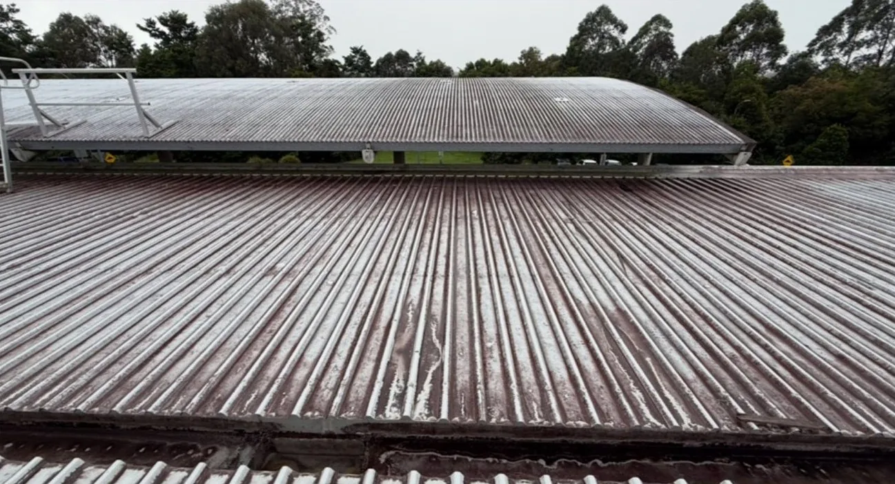 Commercial roof before