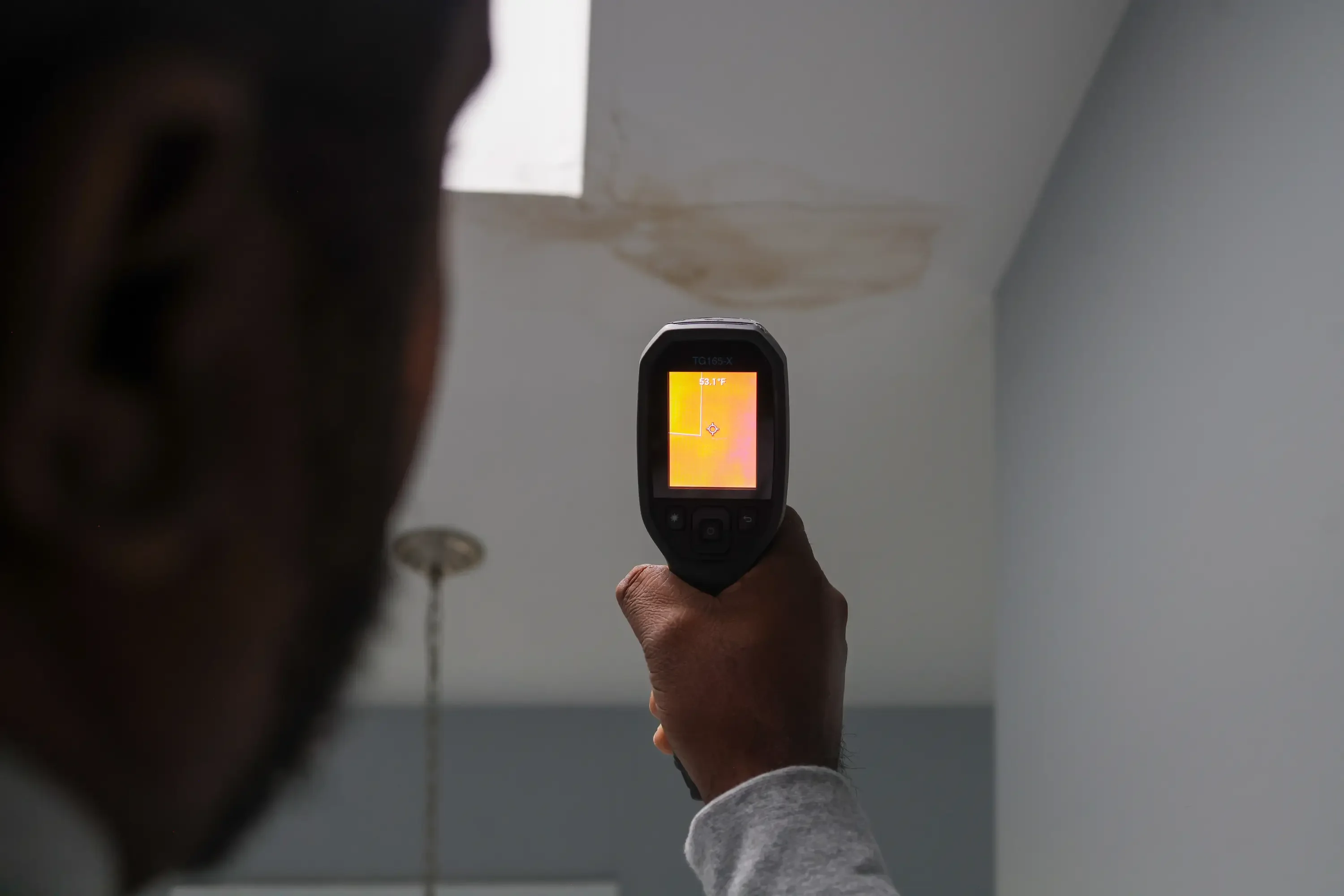 Technician performing professional mold testing