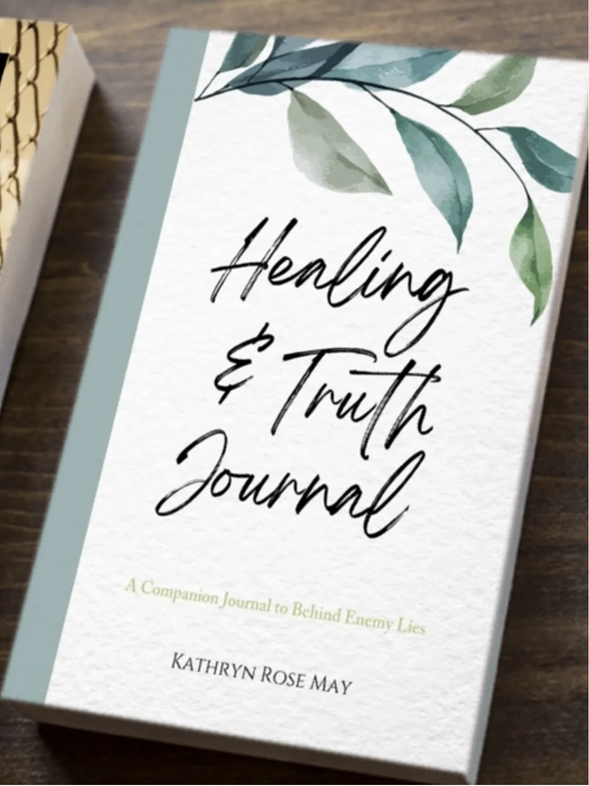 Healing & Truth Journal