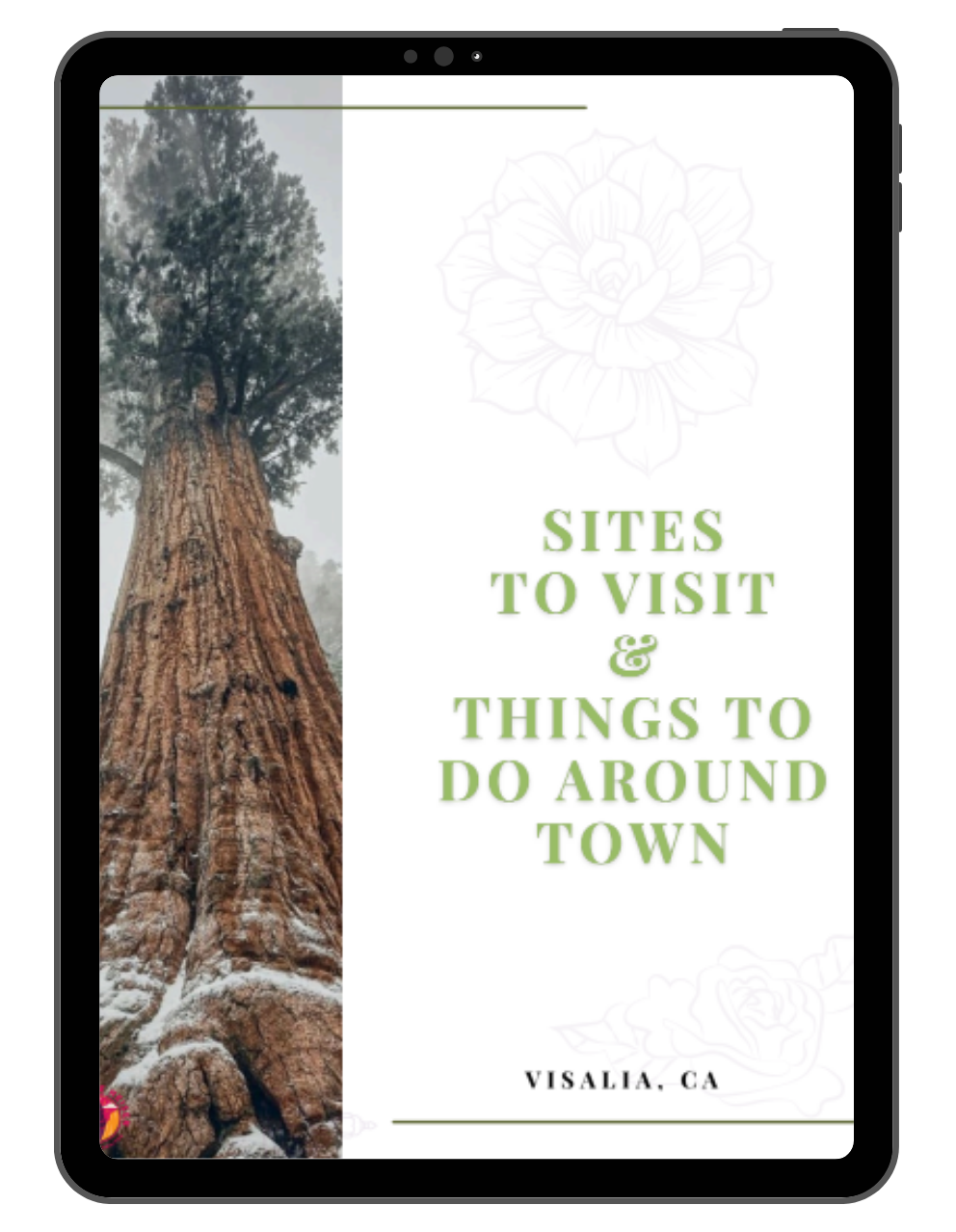 Visalia Neighborhood Insights