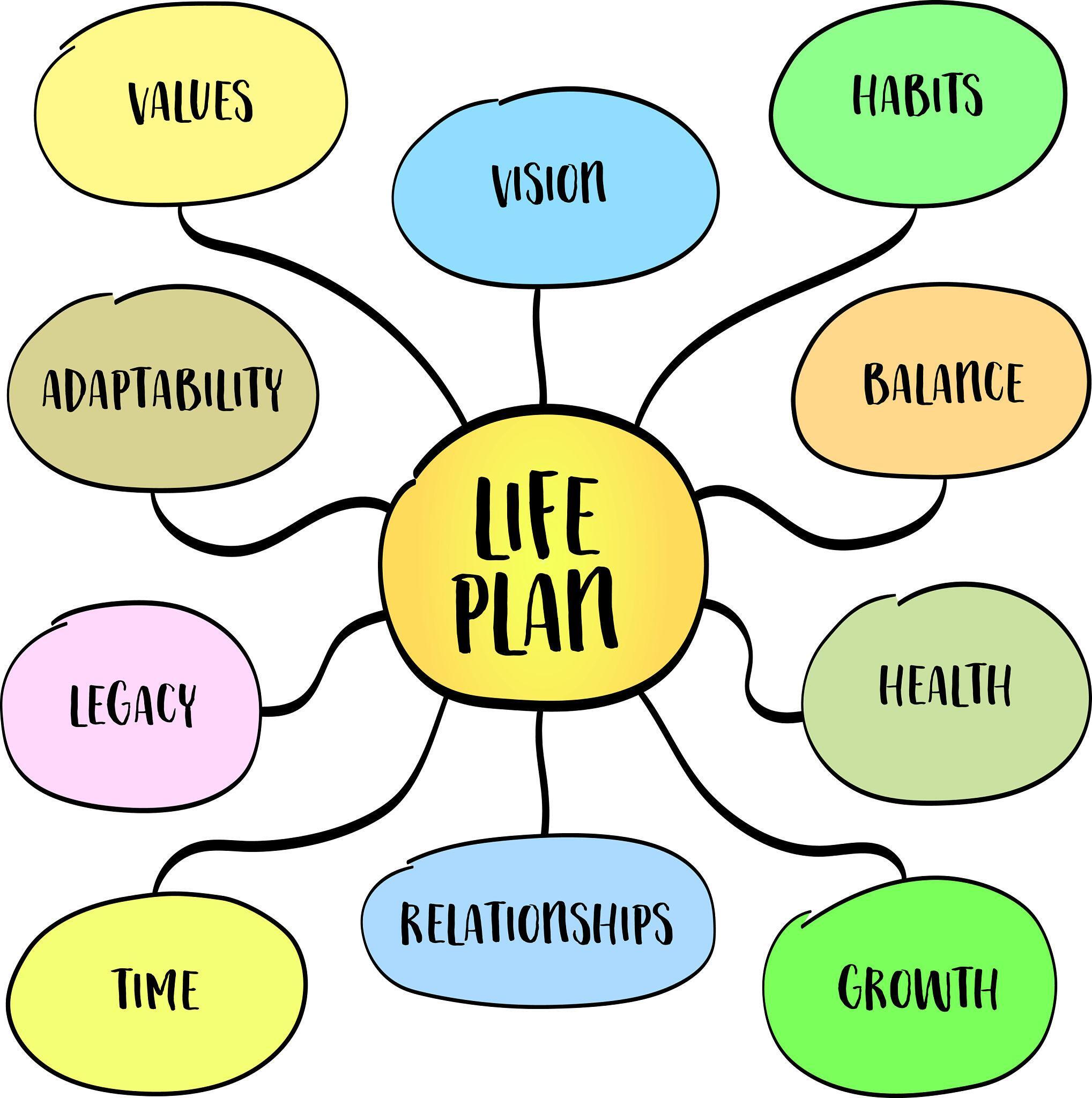 Life cycle diagram 