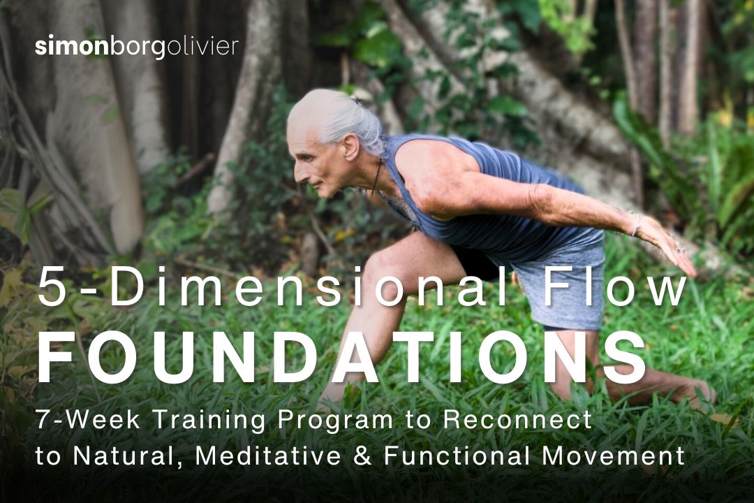 Dimensional Flow Foundations course thumbnail - movement system integrating yoga, martial arts, and physiotherapy for longevity