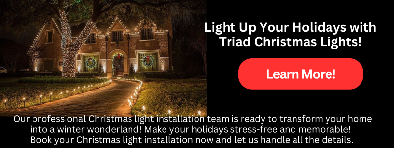 Greensboro NC Christmas lights professional