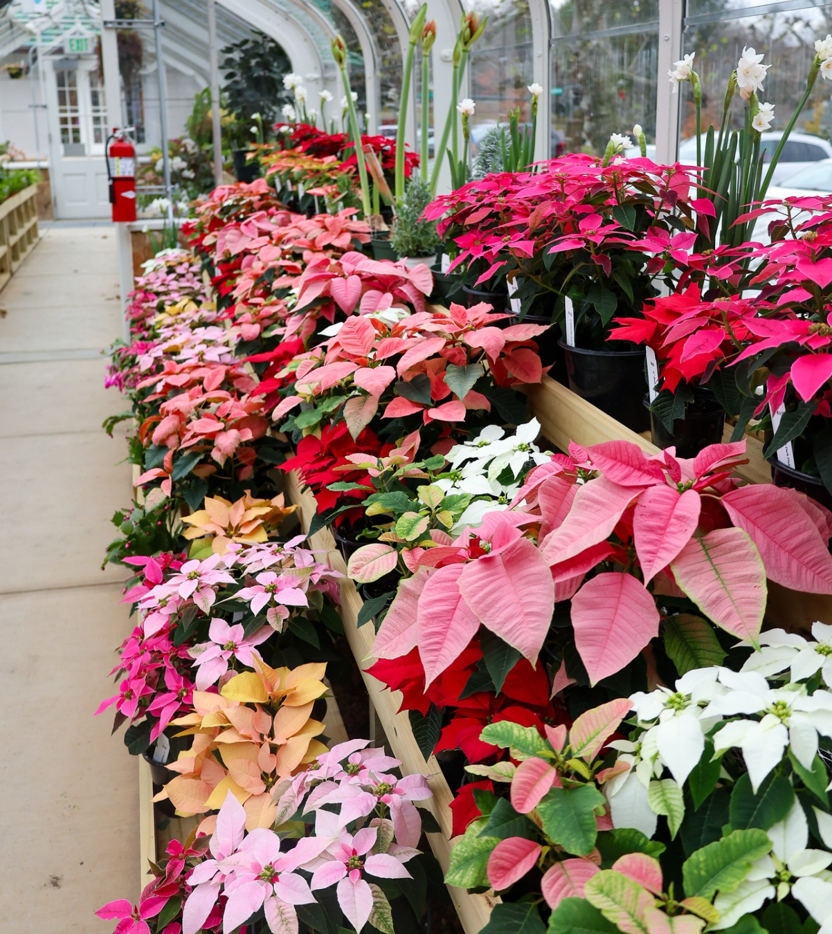 winston-salem Reynolda Gardens winston-salem Reynolda Gardens