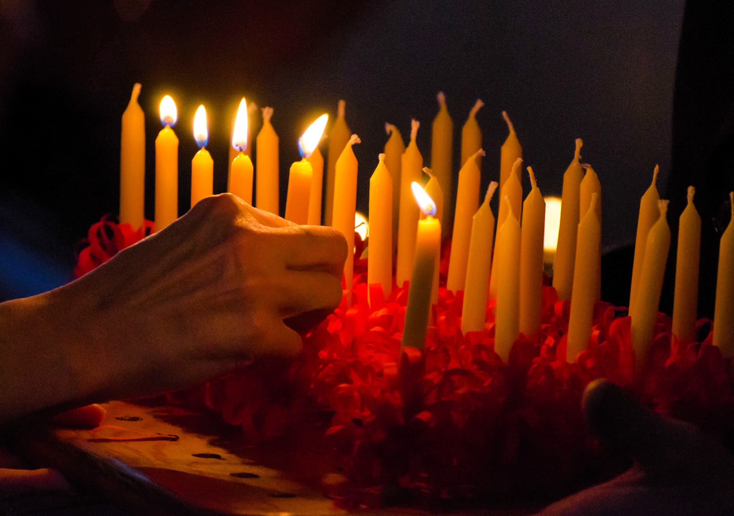 winston-salem-christmas-lights winston-salem-christmas-lights