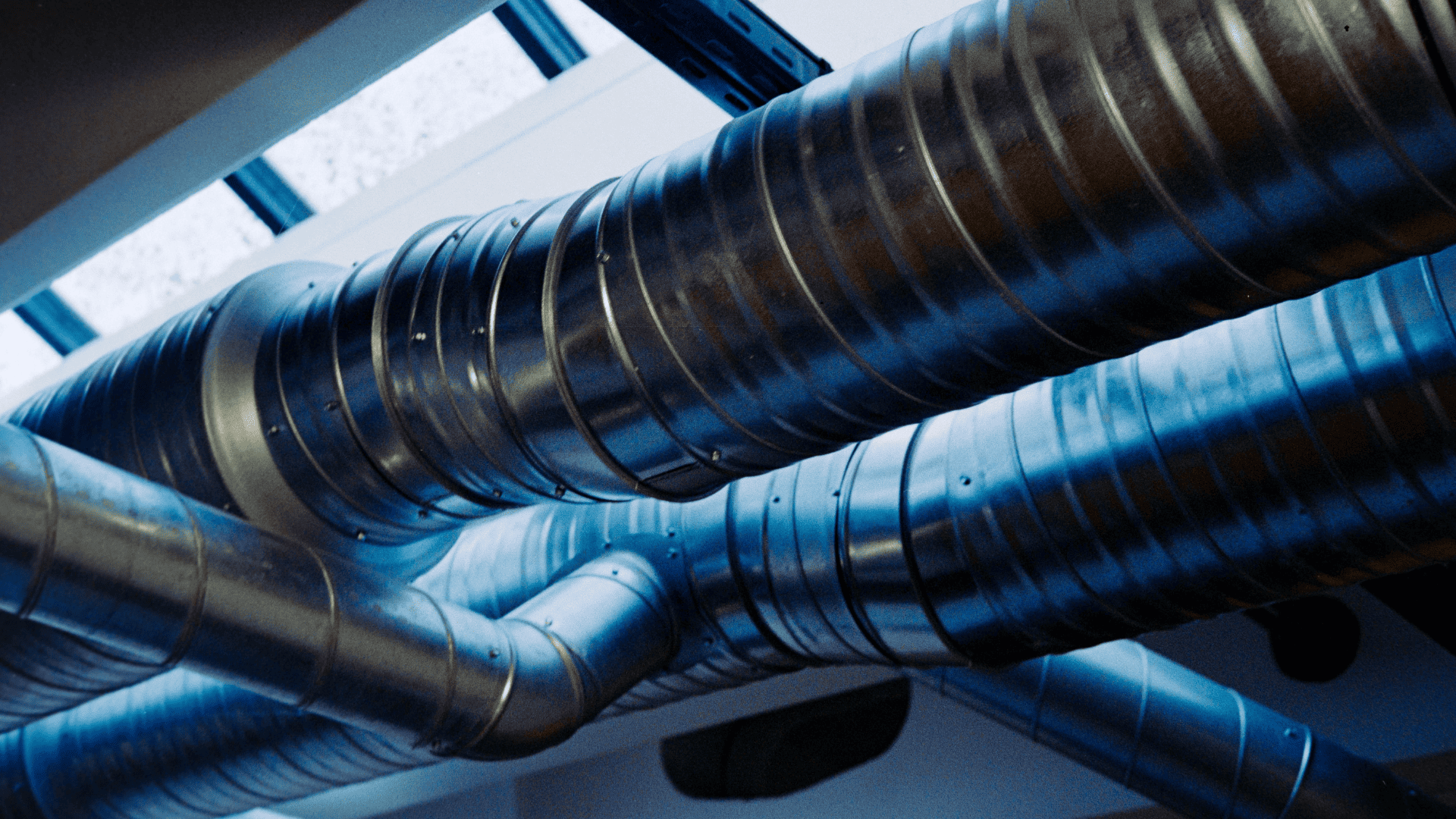 {{ custom_values.service_1 }} in {{custom_values.biz_area_1})