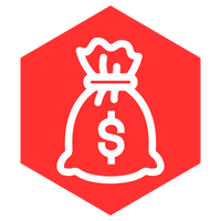 Shield Icon of money bag to representing easy tracking of financial details