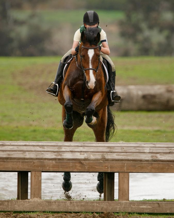 Horse Riding Confidence Cross Country Horse Riding Confidence Cross Country