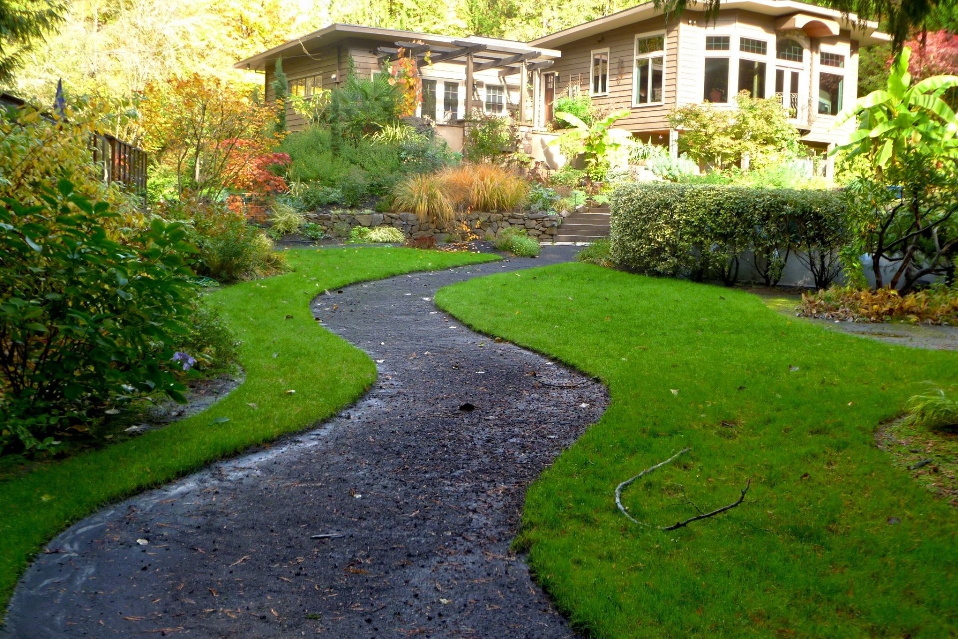 Yard Clean Up in Salt Lake