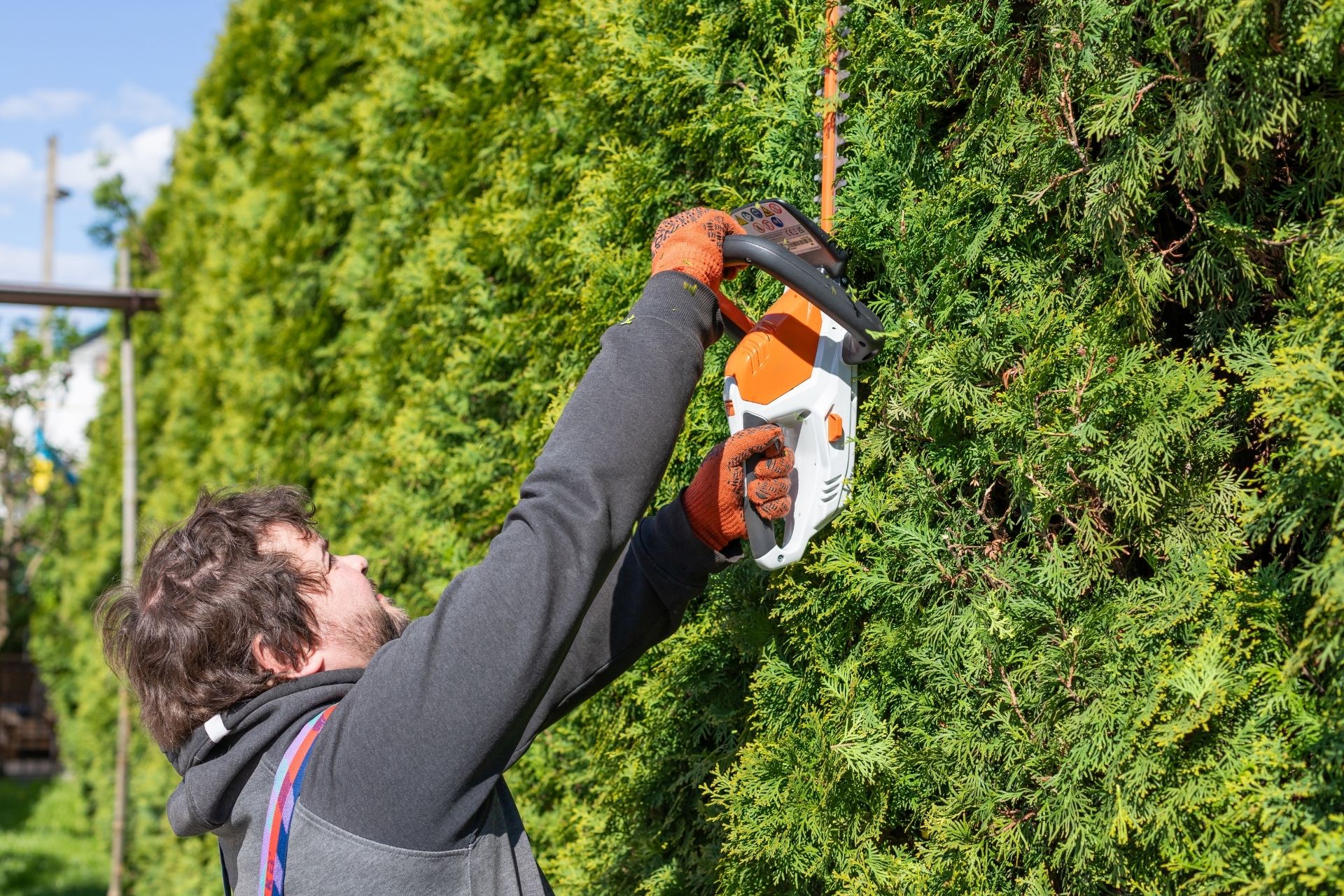 Bush & Hedge Trimming in Salt Lake