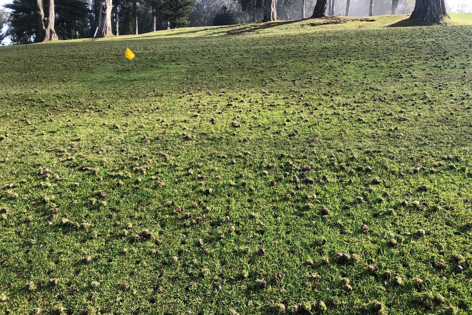 Aeration in Salt Lake
