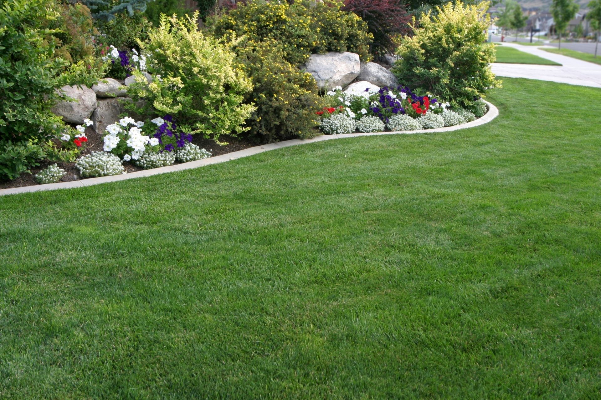 Salt Lake Sod Installation