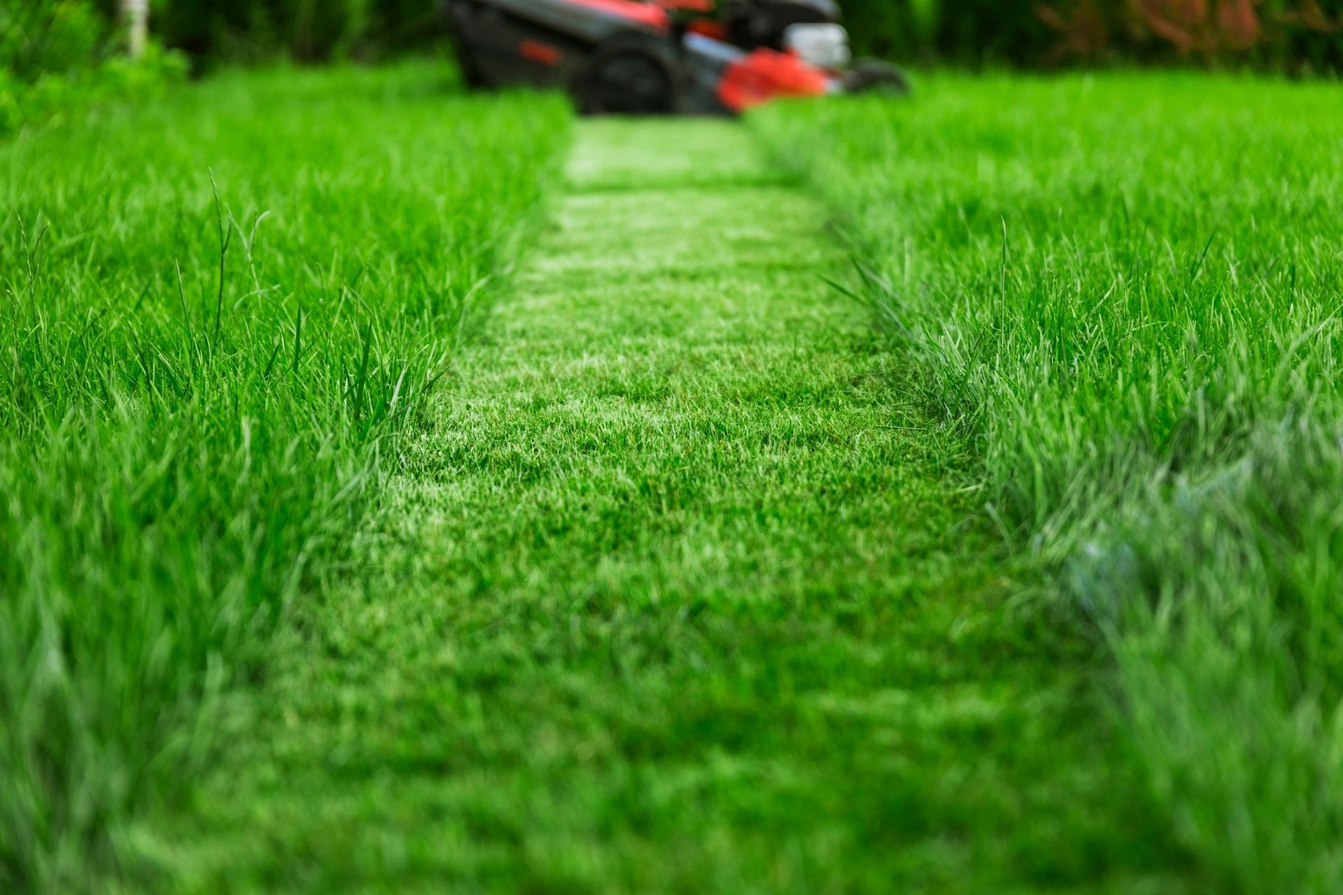 Draper Mowing & Edging
