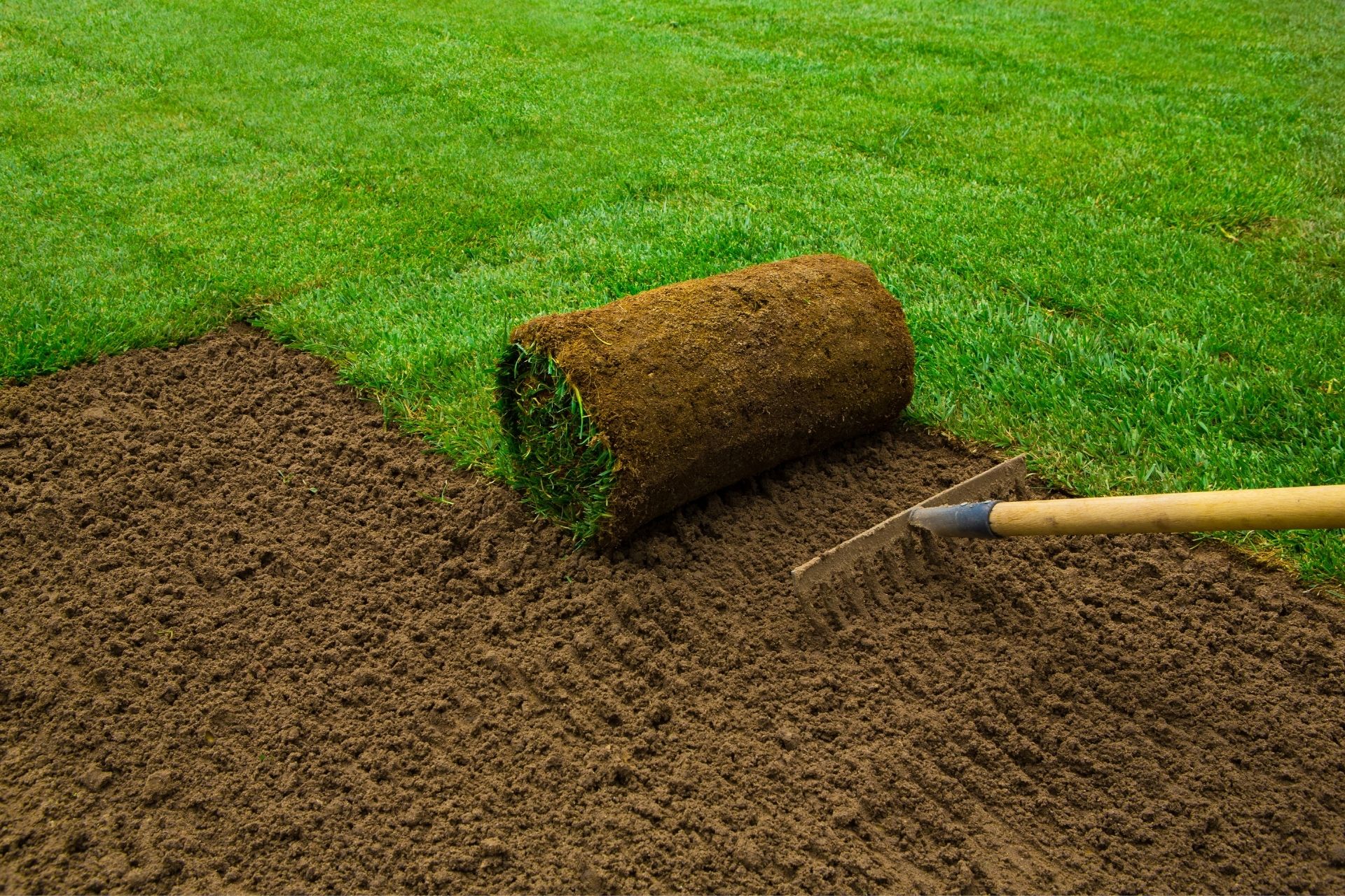 Sod Installation in Salt Lake