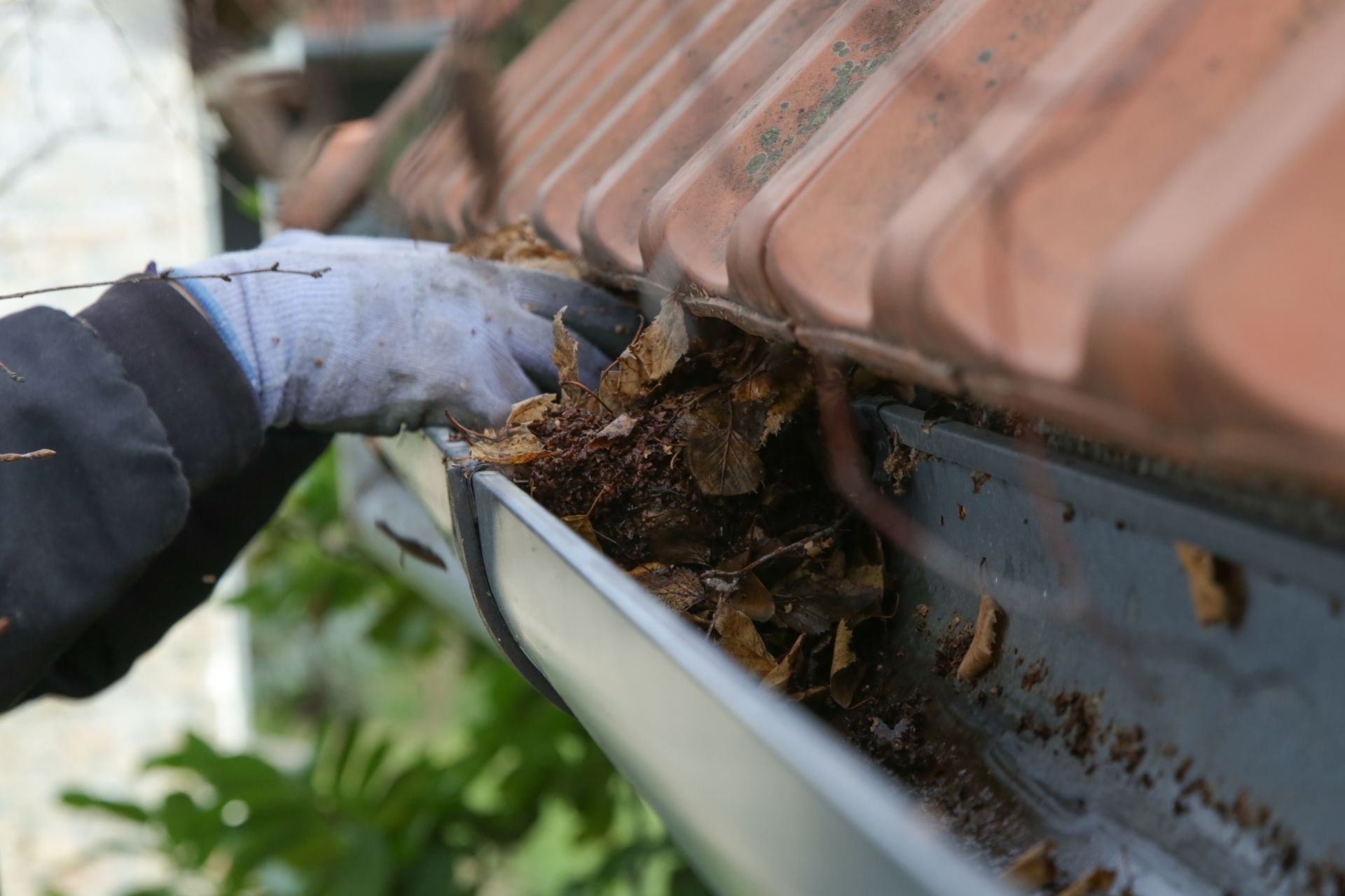 Gutter Cleaning in Salt Lake