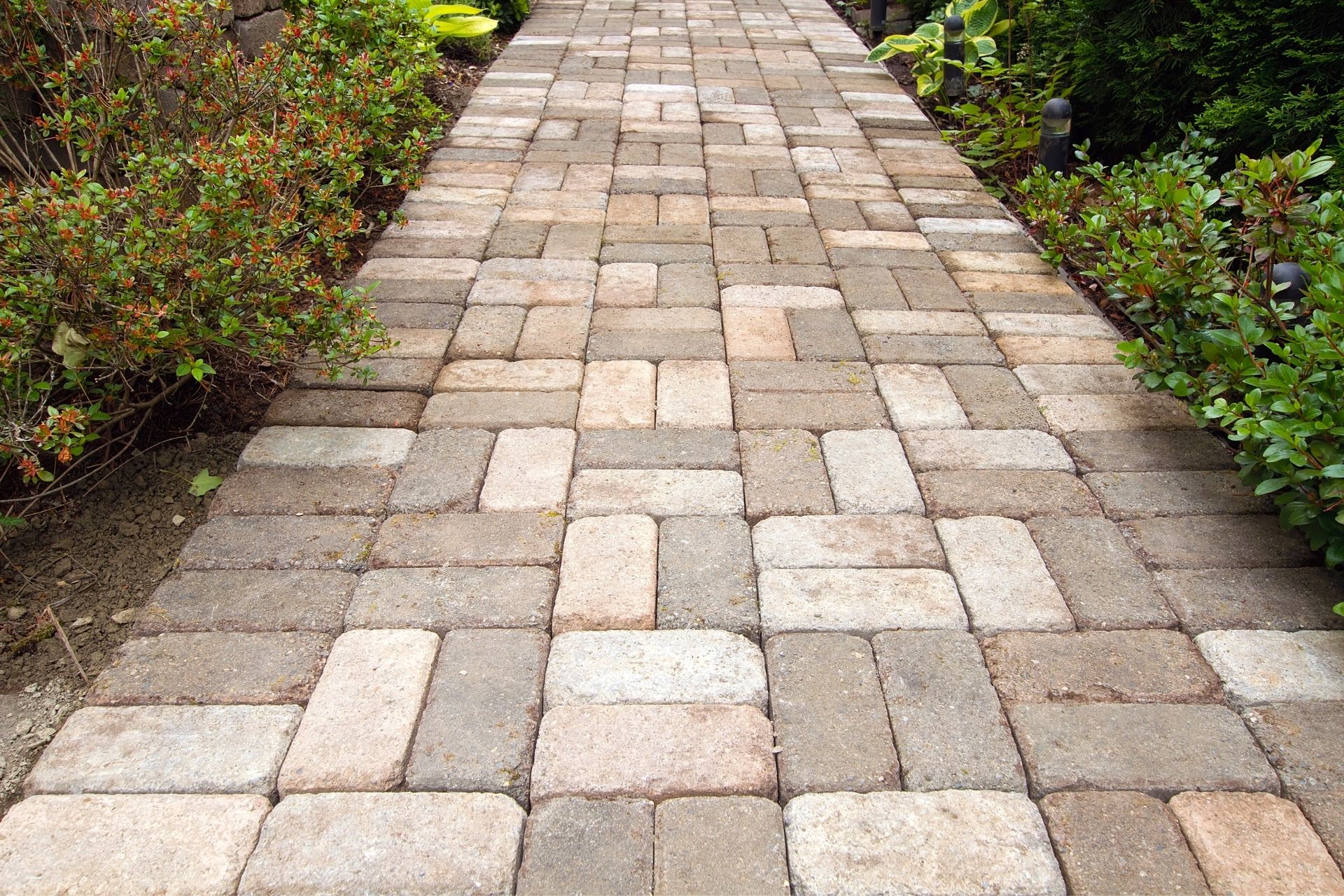 Paver Installation in Salt Lake
