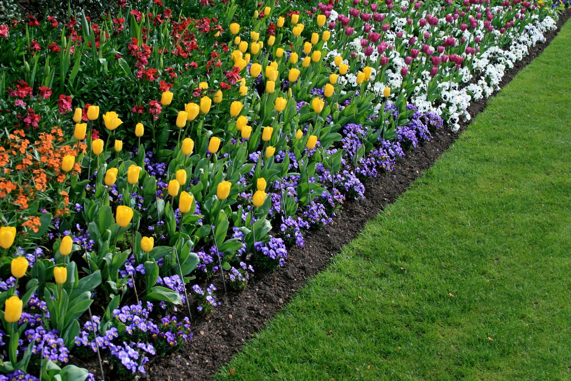 Planting in Salt Lake