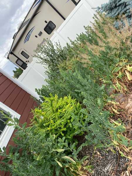 Mowing & Edging Salt Lake