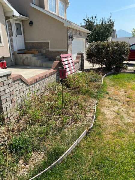 Bush & Hedge Trimming Salt Lake