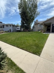 South Salt Lake Sod Installation