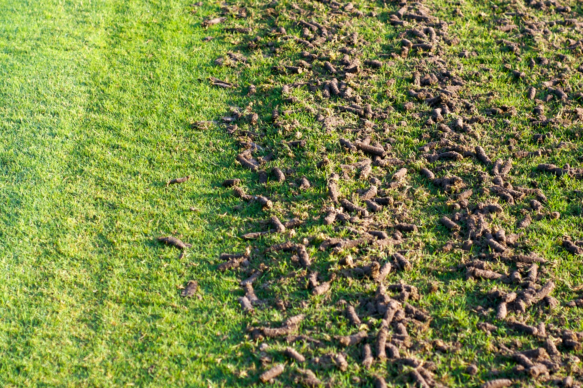 Millcreek Aeration