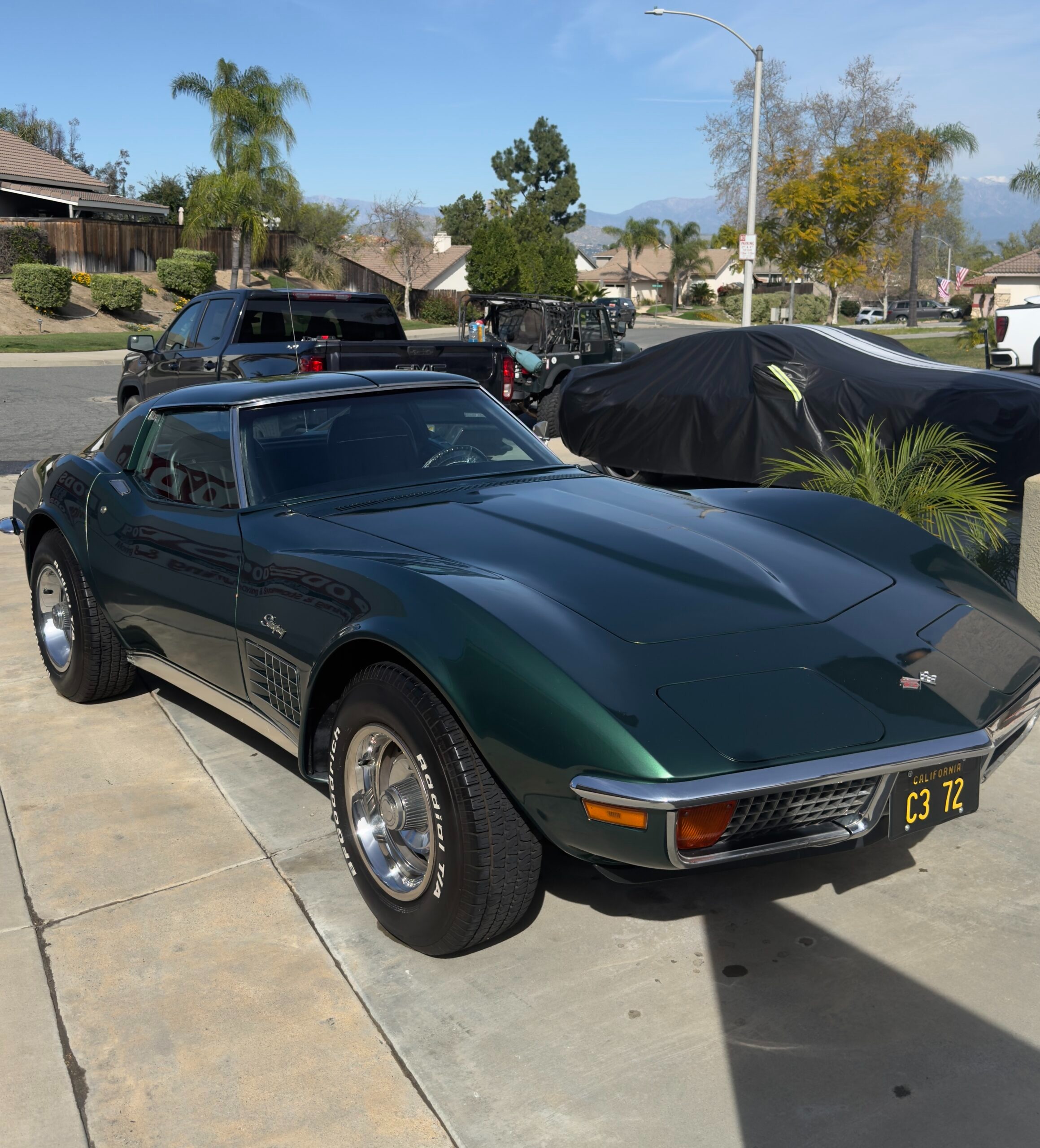 Exterior Car Detailing