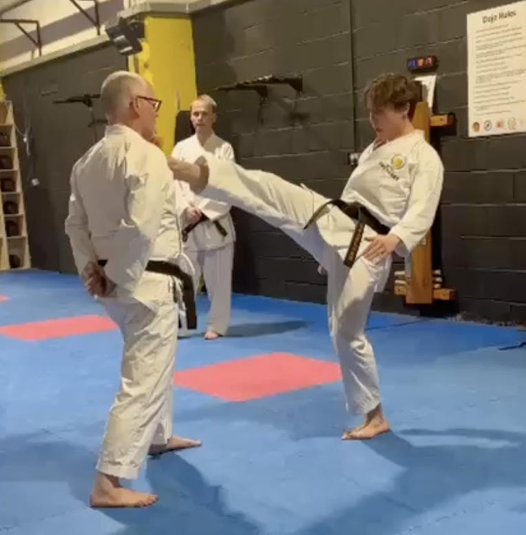 Kumite sparring practice