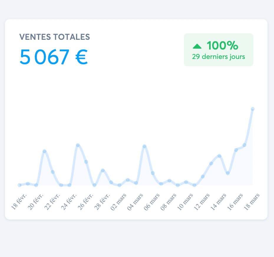 Capture de ventes totales affichant 5 067 euros