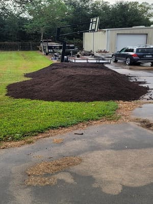 {{ custom_values.service_3 }} in {{custom_values.area_4})