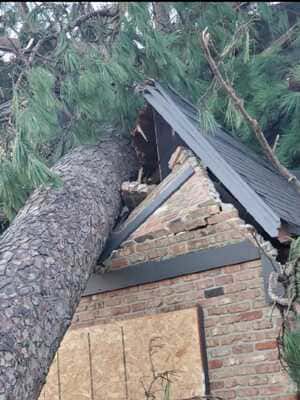 {{ custom_values.service_2 }} in {{custom_values.area_4})