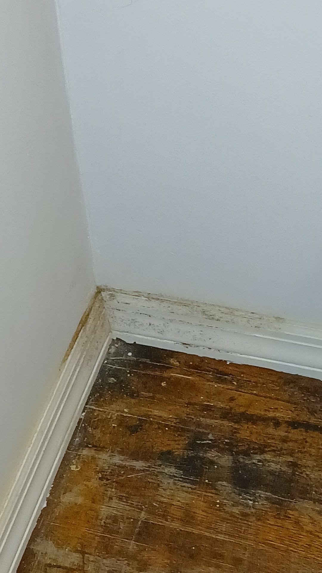 Before Home Cleaning