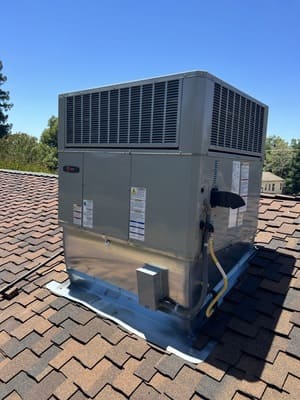 {{ custom_values.service_3 }} in {{custom_values.area_7})