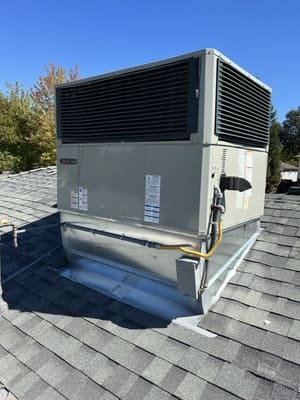 {{ custom_values.service_3 }} in {{custom_values.area_6})