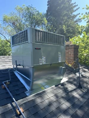 {{ custom_values.service_3 }} in {{custom_values.area_6})