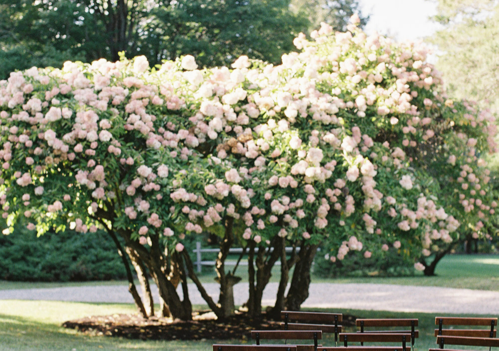 Spring Tributes Spring Tributes