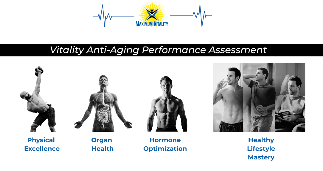 Maximum Vitality VAAP Assessment — Four Pillar System