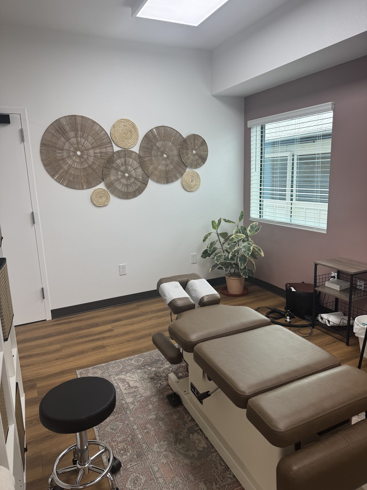 Birthco. Chiropractic + Wellness